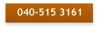 040-515 3161