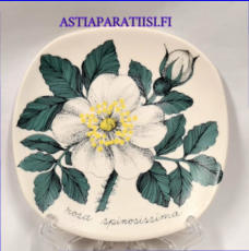 ARABIA,Sein�lautanen "Valkoinen ruusu" Rosa spinosissima,Botanica,Design:Esteri Tomula,Valmistettu 1980-1981-luku,Korkeus n. 12 cm, leveys n. 12 cm,1 kpl,53� /kpl ( Tuote nro / Item #105E )