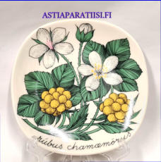 ARABIA,Sein�lautanen "Lakka" Rubus Chamaemorus,Design:Esteri Tomula,Valmistettu 1982-1986-luku,Korkeus n. 12 cm, leveys n. 12 cm,1 kpl,48� /kpl ( Tuote nro / Item #106E )