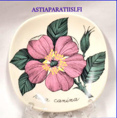 ARABIA,Sein�lautanen " Koiranruusu" rosa canina,Design:Esteri Tomula,Valmistettu 1982-luku,Korkeus n. 12 cm, leveys n. 12 cm,1 kpl,48� /kpl ( Tuote nro / Item #107E )