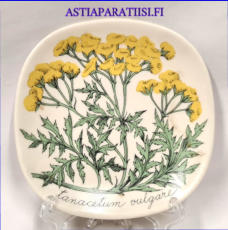 ARABIA,Sein�lautanen " Pietaryrtti" Tanacetum vulgare, Botanica,Design:Esteri Tomula,Valmistettu 1984-1985-luku,Korkeus n. 12 cm, leveys n. 12 cm,1 kpl,64 � /kpl ( Tuote nro / Item #117E )