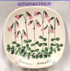 ARABIA,Sein�lautanen " Vanamo " linnaea borealis, Botanica,Design:Esteri Tomula,Valmistettu 1984-85-luku,Korkeus n. 12 cm, leveys n. 12 cm,0 kpl, ( Tuote nro / Item #118E )
