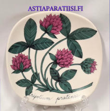 ARABIA,Sein�lautanen " Puna-apila " Trifolium pratense, Botanica,Design:Esteri Tomula,Valmistettu 1982-1986-luku,Korkeus n. 12 cm, leveys n. 12 cm,1 kpl,58 � /kpl ( Tuote nro / Item #122E )