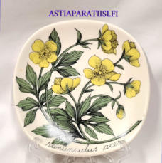 ARABIA,Sein�lautanen "  Niittyleinikki "  Ranunculus acer , Botanica,Design:Esteri Tomula,Tuotannossa 1982-1983-luku,Korkeus n. 12 cm, leveys n. 12 cm,1 kpl,48 � /kpl ( Tuote nro / Item #137E )