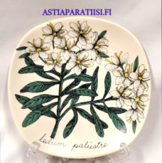 ARABIA,Sein�lautanen "   Suopursu "   Ledum palustre, Botanica,Design:Esteri Tomula,Tuotannossa 1980-1981-luku,Korkeus n. 12 cm, leveys n. 12 cm,1 kpl,48 � /kpl ( Tuote nro / Item #138E )