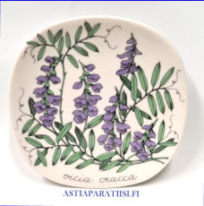 ARABIA,Sein�lautanen " Hiirenvirna" Vicia Cracca,Design:Esteri Tomula,Tuotannossa 1984-1985-luku,Korkeus n. 12 cm, leveys n. 12 cm,1 kpl,55 � /kpl ( Tuote nro / Item #157E )