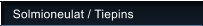 Solmioneulat / Tiepins