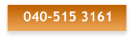 040-515 3161
