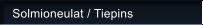 Solmioneulat / Tiepins