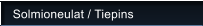 Solmioneulat / Tiepins