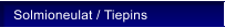 Solmioneulat / Tiepins