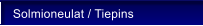 Solmioneulat / Tiepins