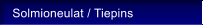 Solmioneulat / Tiepins