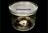 RIIHIM�EN LASI,Kirsi, (Kirsikka) Lasipurkki kannella,Design:Nanny Still,Korkeus,n. 9,5 cm,halkaisija,n.11 cm,2kpl,35�/kpl