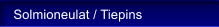 Solmioneulat / Tiepins