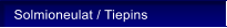 Solmioneulat / Tiepins
