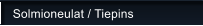 Solmioneulat / Tiepins