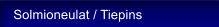 Solmioneulat / Tiepins