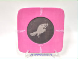 ARABIA, Flora & Fauna vuosilautanen 2004,Design:Eeva Sivula & Pekka Toivanen,Mitat Pituus x leveys: 20,5 cm x 20,5 cm, 0kpl.,(  Tuote nro 133AM )