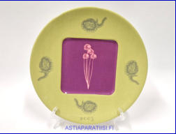 ARABIA, Flora & Fauna vuosilautanen 2005,Design:Eeva Sivula & Pekka Toivanen,Mitat Halkaisija ,n.22 cm, 1kpl.47�/kpl,(  Tuote nro 135AM )