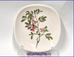 ARABIA,Sein�lautanen Streblorhiza speciosa, World Wildlife Fund, Design: Mary Grierson,Mitat Korkeus n. 12 cm, leveys n. 12 cm,1kpl.45�/kpl,( Tuote nro 219AM )
