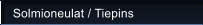 Solmioneulat / Tiepins