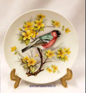 Punatulkku sein�lautanen, Gimpel oder Dompfaff, (Phrrhula pyrrhula) KAISER W.Germany,halkaisija n.19,5 cm,1kpl, 25�/kpl
