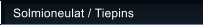 Solmioneulat / Tiepins